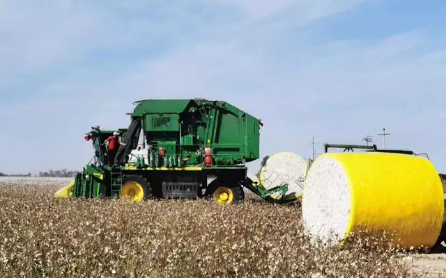 Bungkus Cotton Bale Apa yang Terbaik untuk Penyimpanan Jangka Panjang?